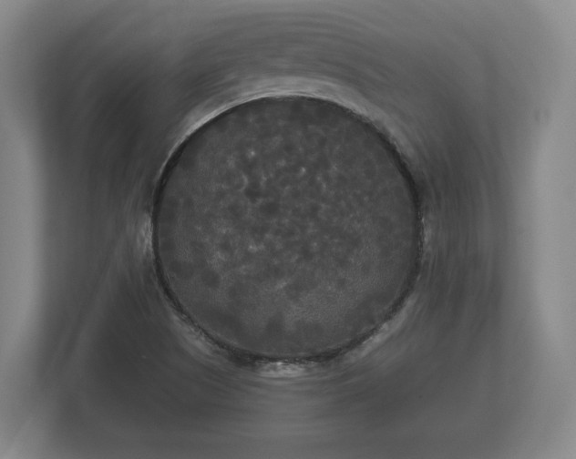 X0000113081505200909041118