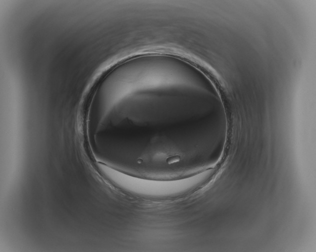 X0000113081506200909041118