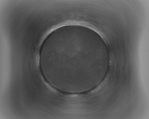 X0000113081507200909041118