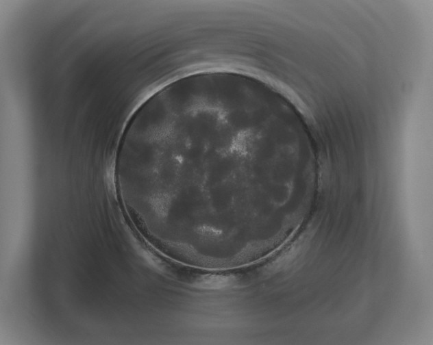 X0000113081513200909041118