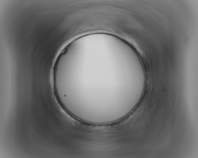 X0000113081516200909041118