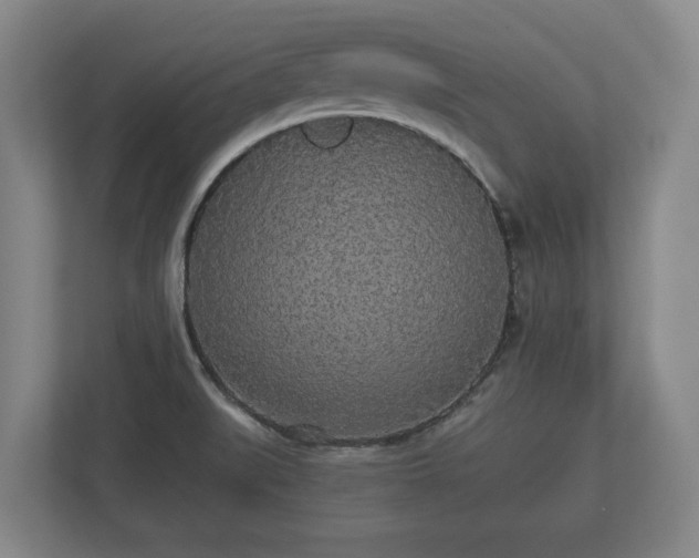 X0000113081519200909041118