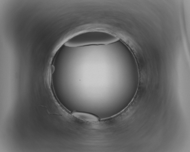 X0000113081520200909041118