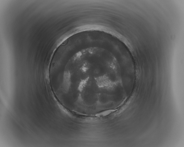 X0000113081521200909041118