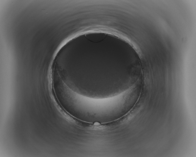 X0000113081522200909041118