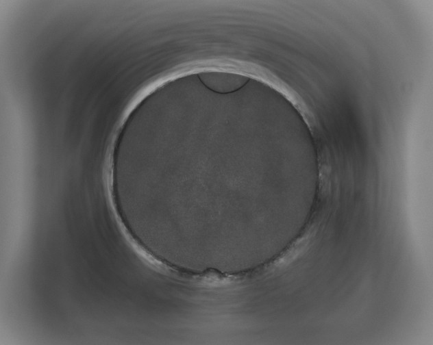 X0000113081523200909041118