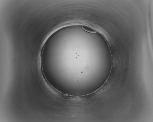 X0000113081524200909041118