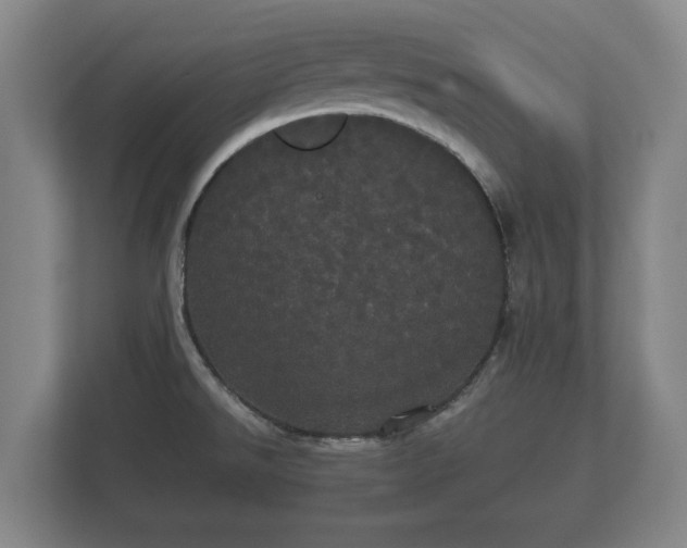 X0000113081526200909041118