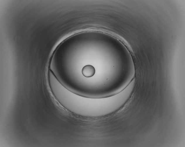 X0000113081530200909041118