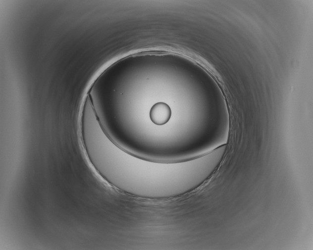 X0000113081536200909041118