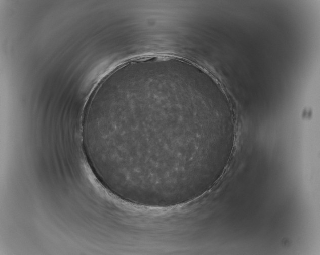 X0000113080002200909111014