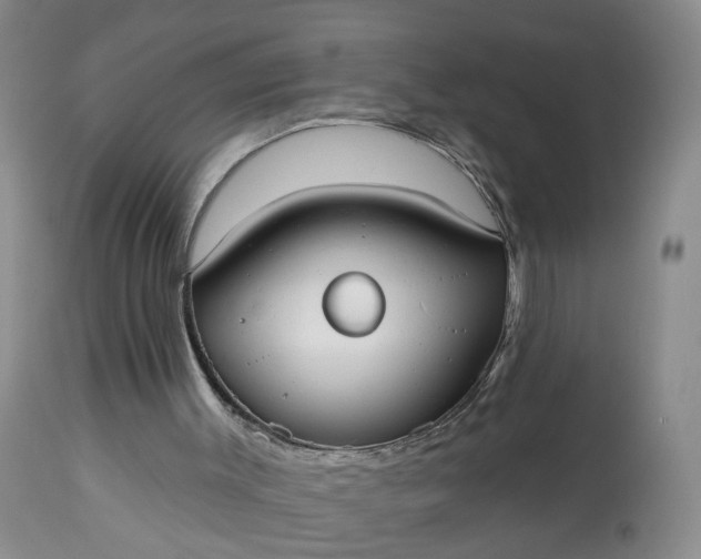 X0000113080003200909111014