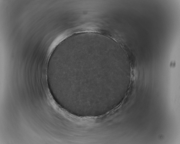 X0000113080004200909111014