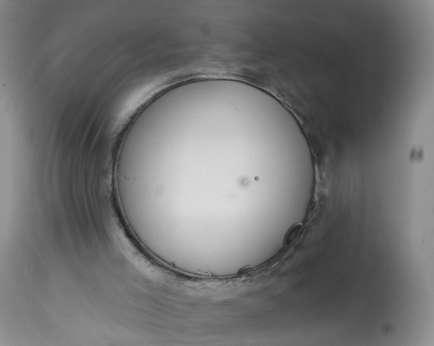 X0000113080005200909111014