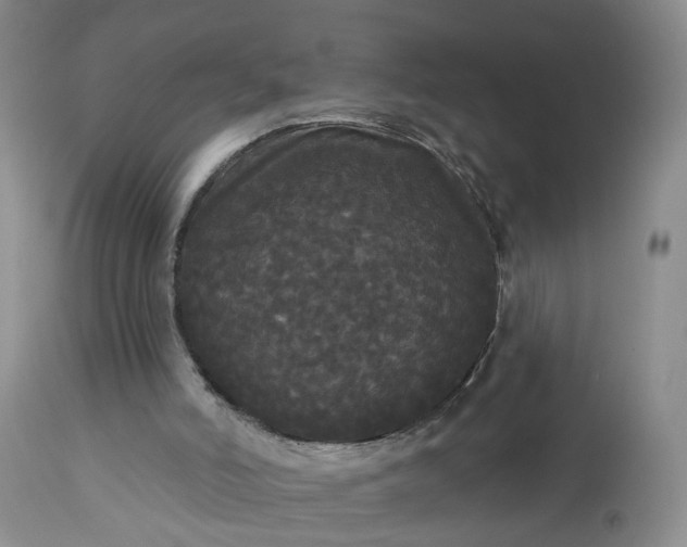 X0000113080006200909111014