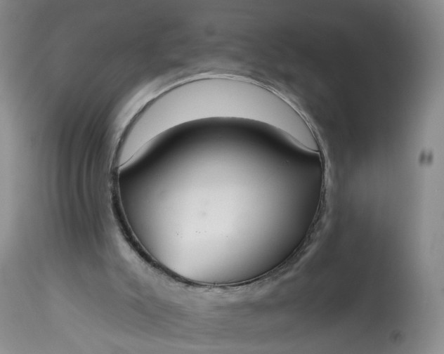 X0000113080007200909111014