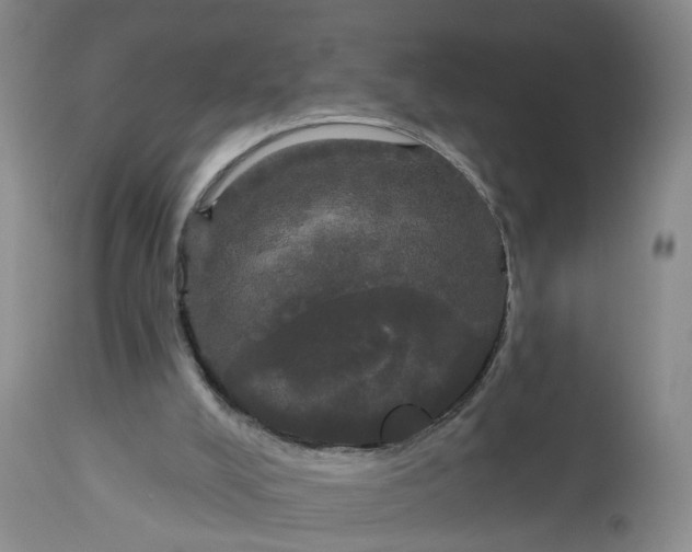 X0000113080008200909111014