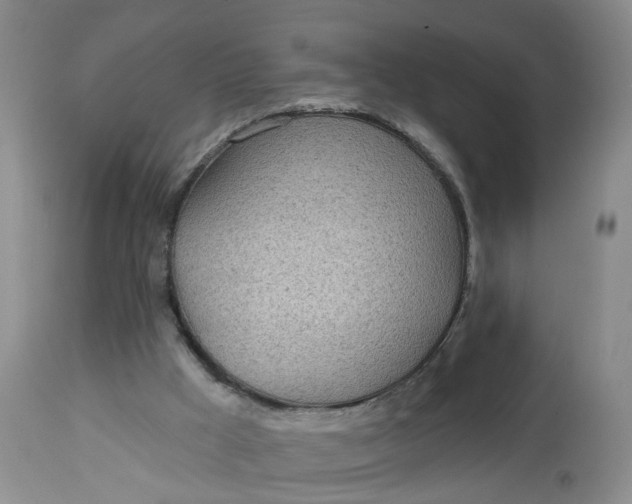 X0000113080009200909111014