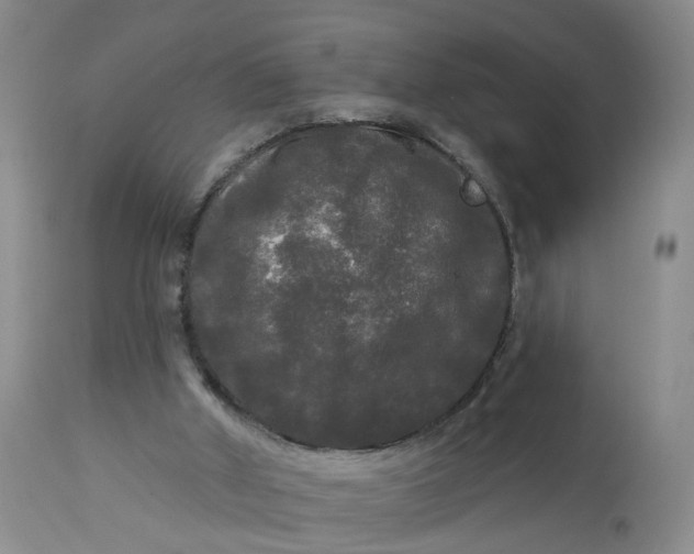 X0000113080010200909111014