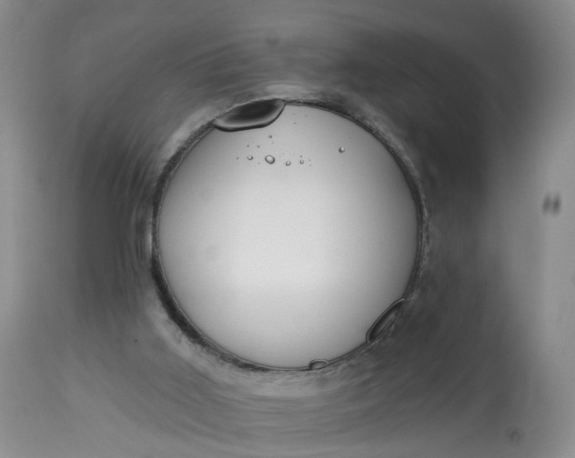 X0000113080011200909111014