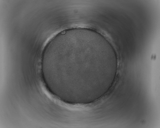 X0000113080012200909111014