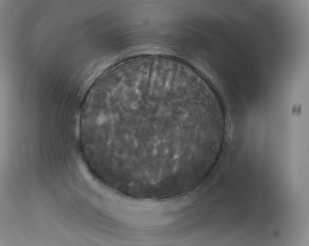 X0000113080014200909111014