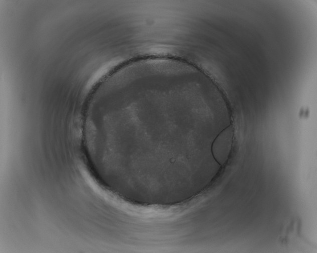 X0000113080016200909111014