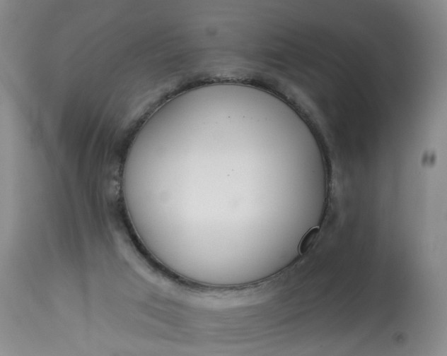 X0000113080017200909111014