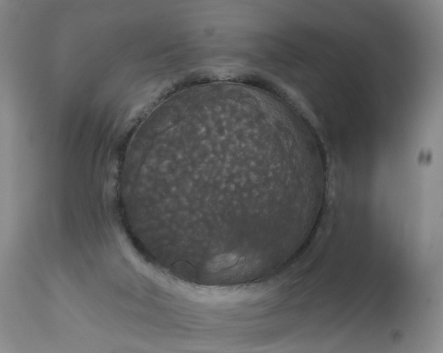 X0000113080018200909111014