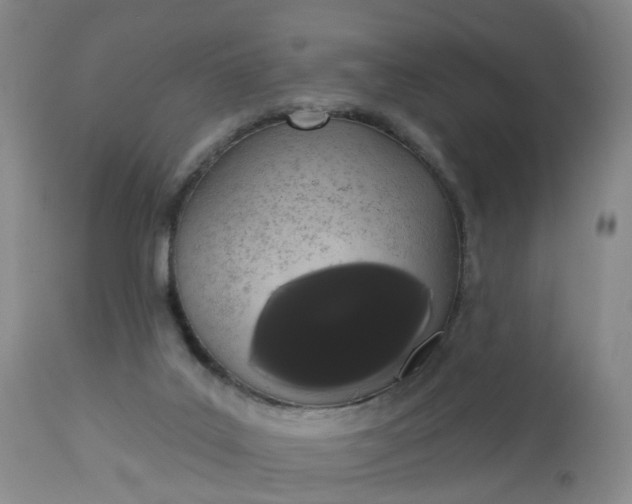 X0000113080019200909111014