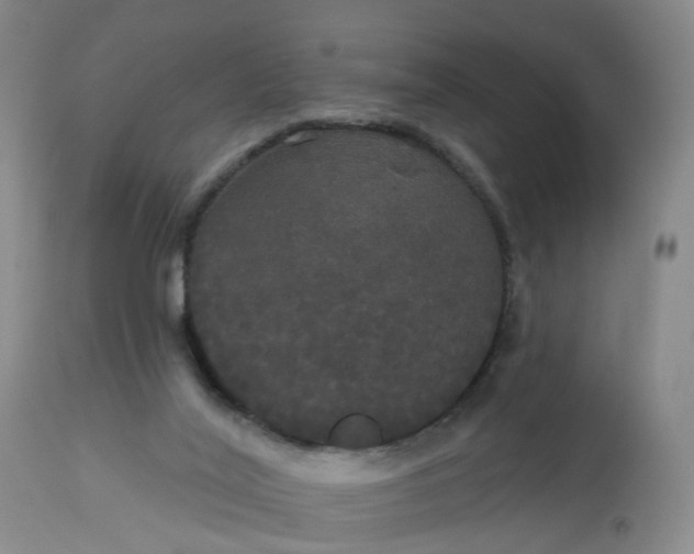 X0000113080020200909111014