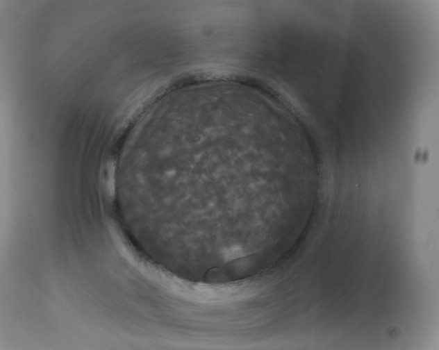 X0000113080022200909111014