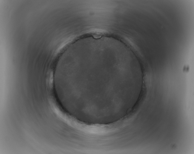 X0000113080024200909111014