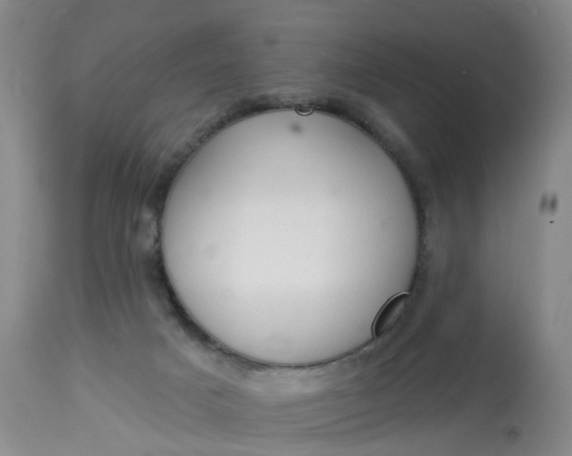 X0000113080025200909111014