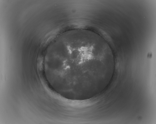 X0000113080026200909111014