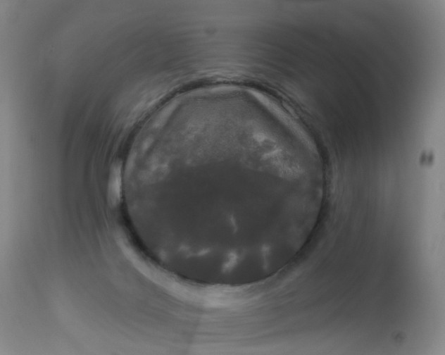 X0000113080028200909111014