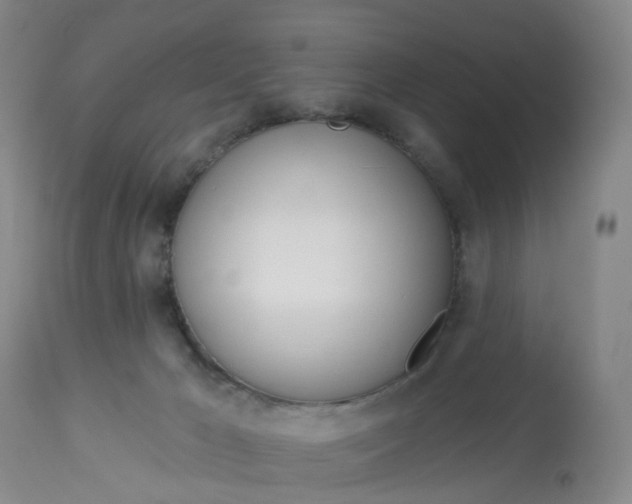 X0000113080029200909111014