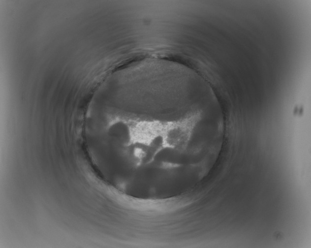 X0000113080030200909111014