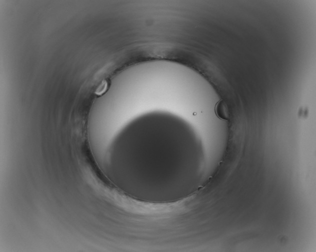 X0000113080031200909111014