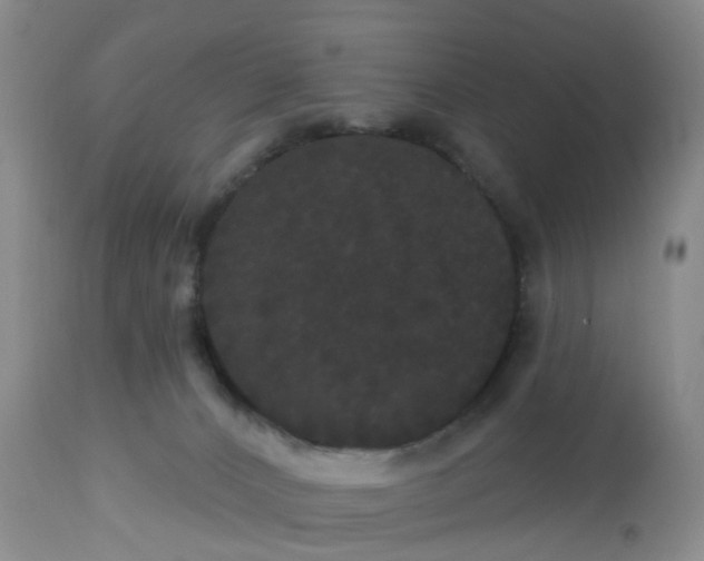 X0000113080032200909111014