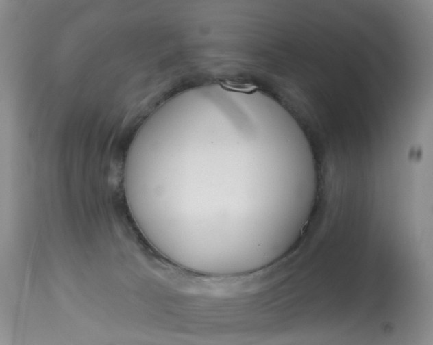 X0000113080033200909111014