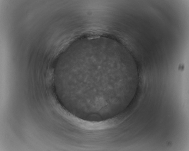 X0000113080034200909111014