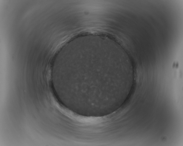 X0000113080036200909111014