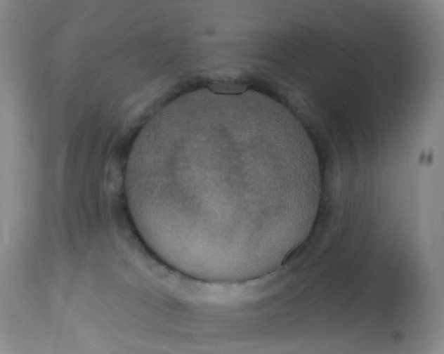 X0000113080037200909111014