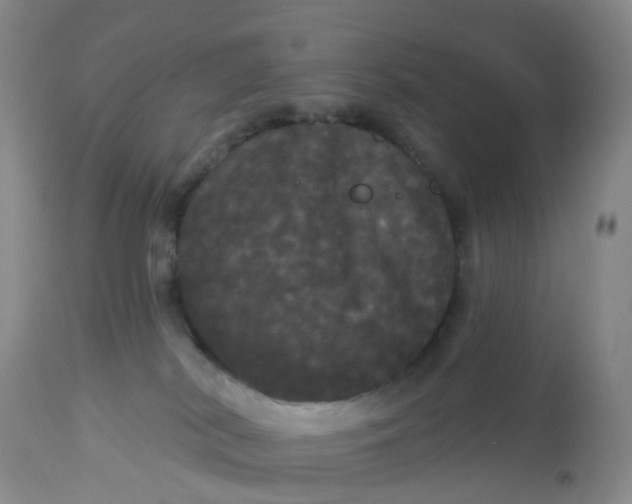 X0000113080038200909111014