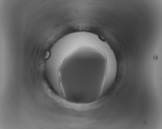 X0000113080039200909111014