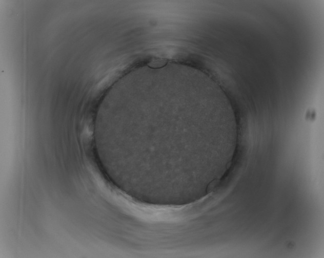 X0000113080040200909111014