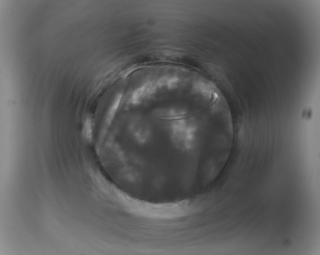 X0000113080042200909111014