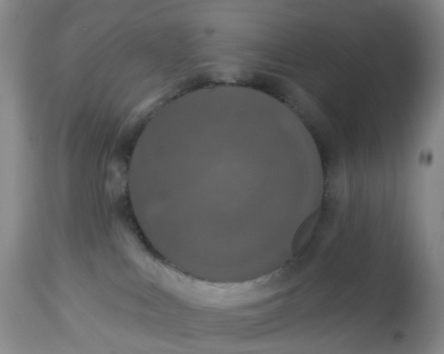 X0000113080043200909111014