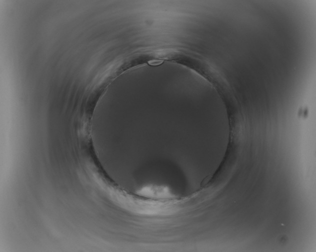 X0000113080044200909111014